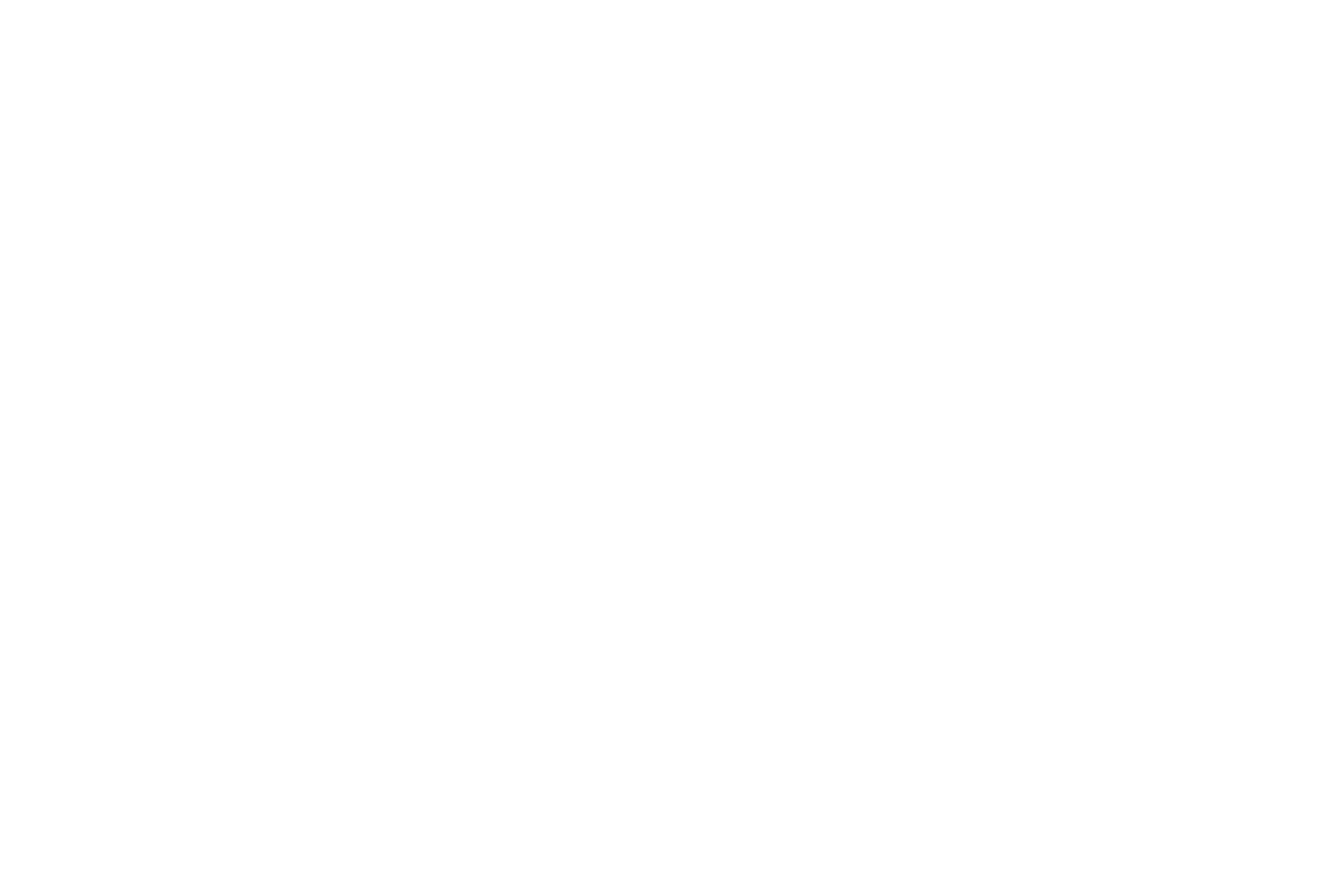 Icon_04 (1)